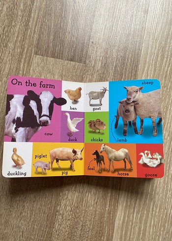 İngilizce İlk 100 Kelime - Çocuk Kitabı - Görsel 2