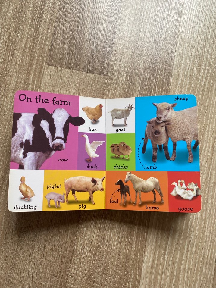 İngilizce İlk 100 Kelime - Çocuk Kitabı - Görsel 2