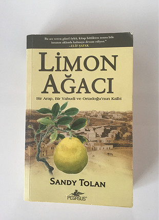 Sandy Tolan romanı