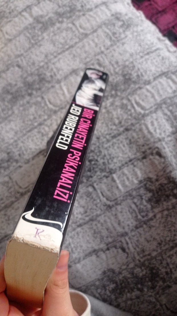 Bir Cinayetin Psikanalizi - Jed Rubenfeld - Görsel 2