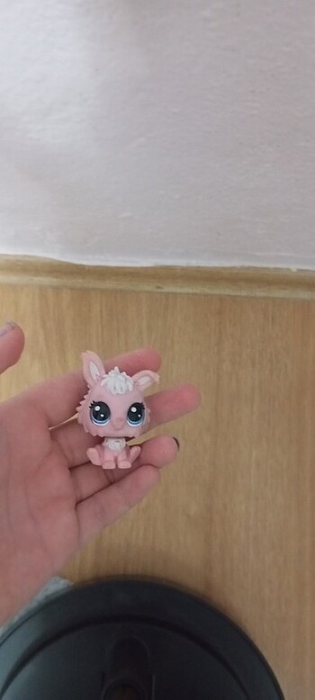 Kuş miniş yeni alındı tavşan birazcık eski olduğu için lekeleri  - Görsel 2