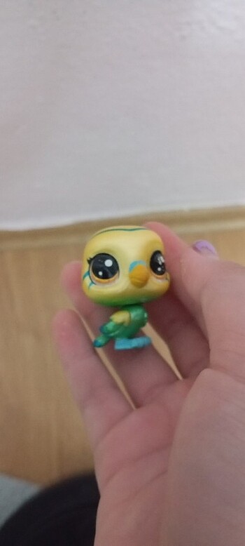 Kuş miniş yeni alındı tavşan birazcık eski olduğu için lekeleri  - Görsel 3