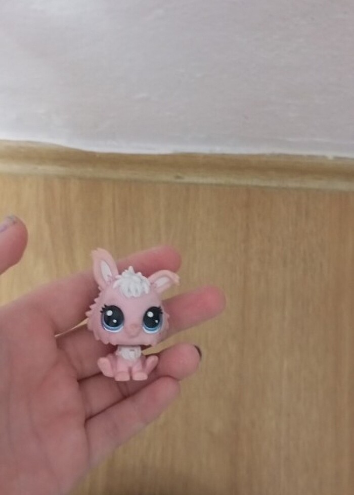 Kuş miniş yeni alındı tavşan birazcık eski olduğu için lekeleri  - Görsel 2