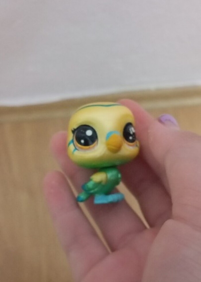 Kuş miniş yeni alındı tavşan birazcık eski olduğu için lekeleri  - Görsel 3