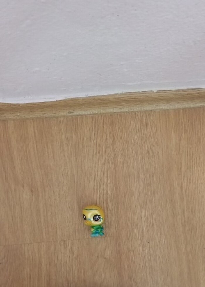 Kuş miniş yeni alındı tavşan birazcık eski olduğu için lekeleri  - Görsel 4