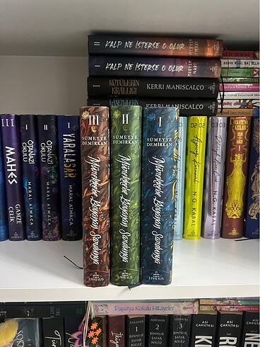  Mürekkebe boyanan sardunya kitap serisi