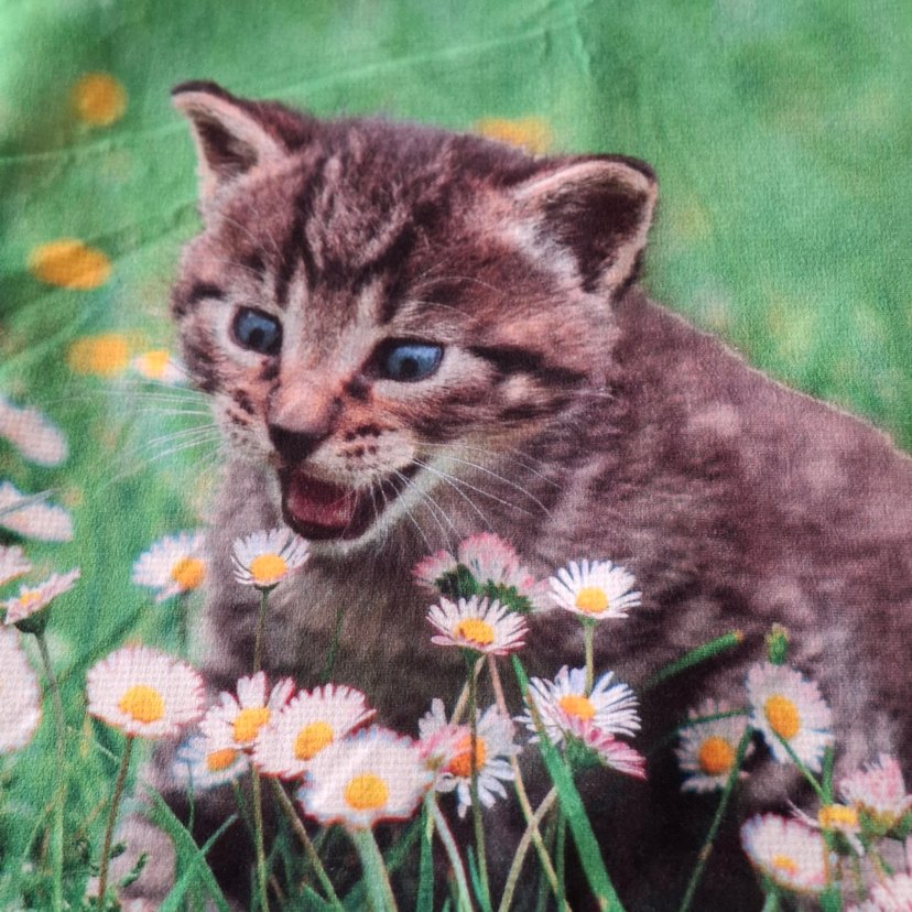 3 D Renkli kedili Desenli Kırlent Kılıfı - Görsel 3