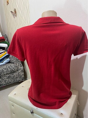 Limon Company Polo yaka