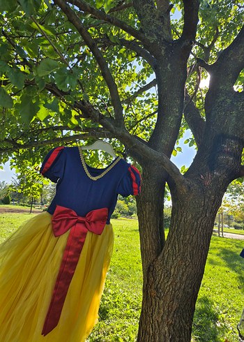 Prenses Kostümü - Görsel 4