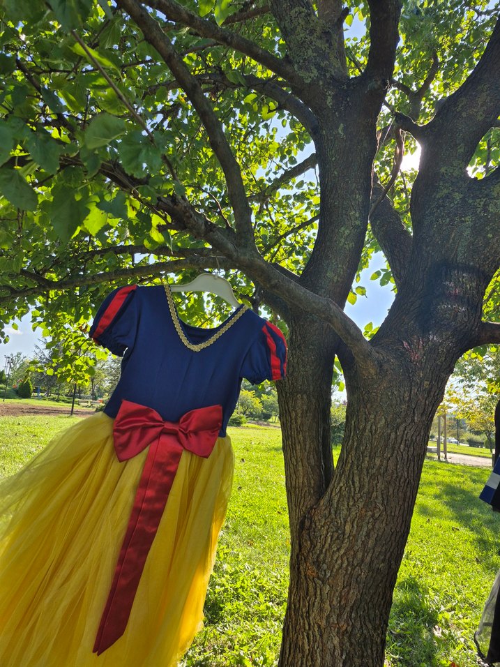 Prenses Kostümü - Görsel 4