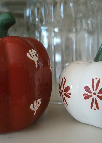 Renkli Kabak Desenli Tuzluk ve Biberlik Seti - Görsel 5