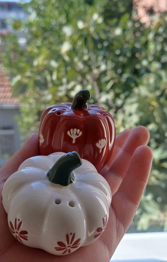 Renkli Kabak Desenli Tuzluk ve Biberlik Seti - Görsel 2