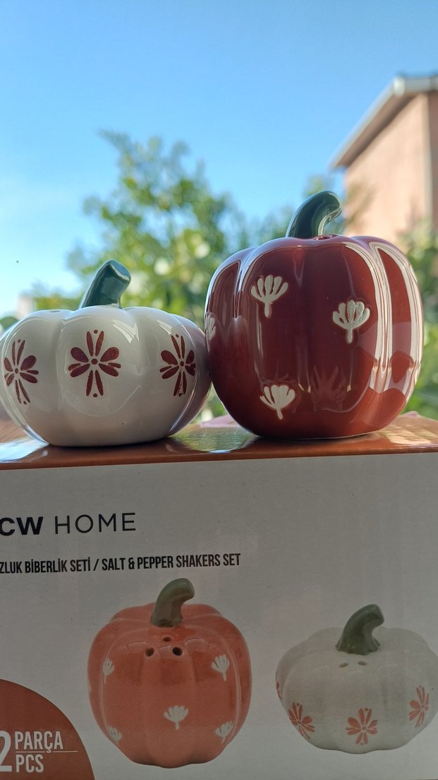 Renkli Kabak Desenli Tuzluk ve Biberlik Seti - Görsel 3