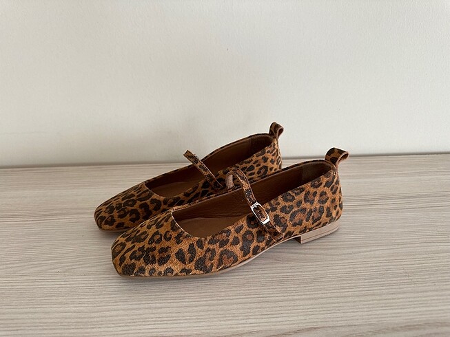 Diğer 37 numara leopar babet