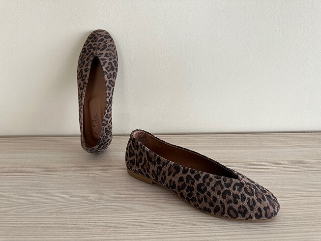 Diğer 37 numara leopar babet