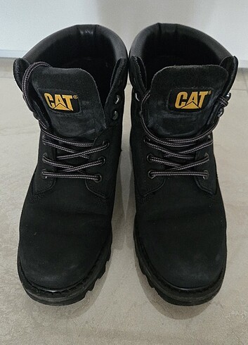 Cat Bot