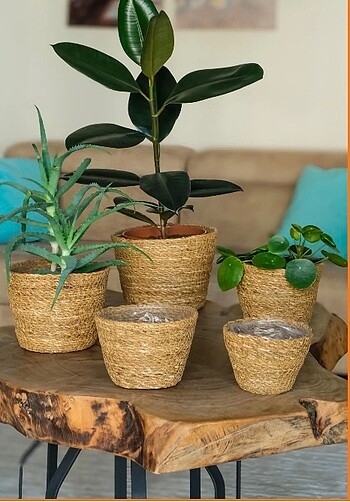 5 li Hasır Saksı