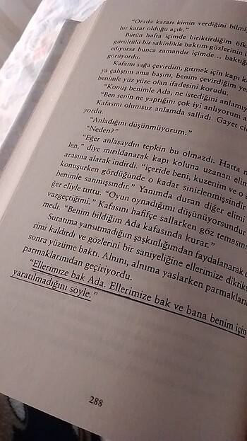  Beden Renk kelebeği öldürmek