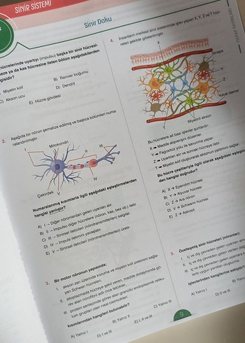  Biyoloji Soru Kütüphanesi - Paraf Yayınları