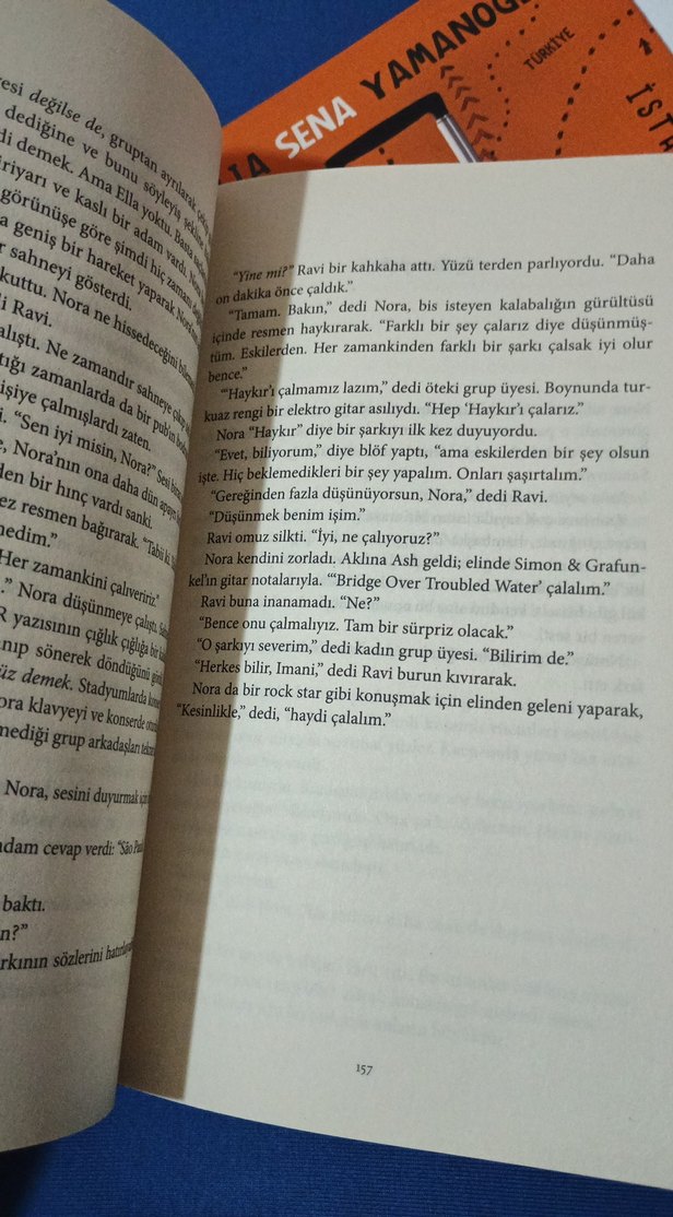 aile dizimi - imgesel çalışma- Gece Yarısı Kütüphanesi - Görsel 4