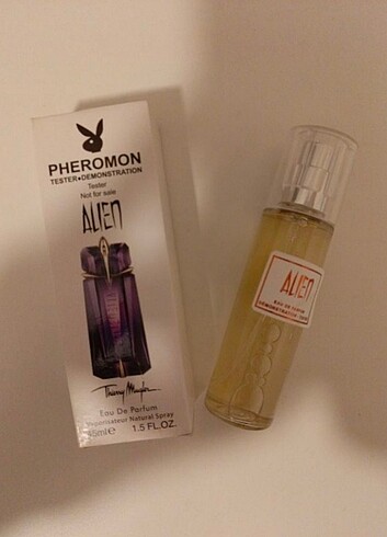  Beden Renk 45 ml testerler