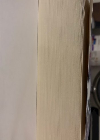 Efsaneler ve Lanetler - N.G. Kabal Roman kitap wattpad - Görsel 4