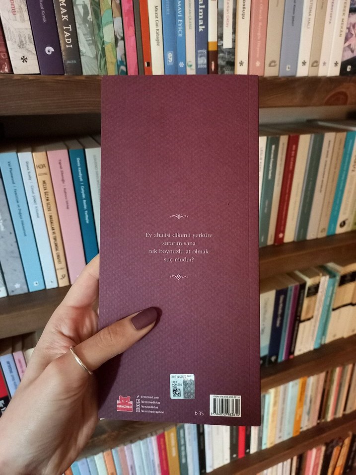 Julio Cortázar - Kafa Ütüleyicinin Laklakıyatı - Görsel 2