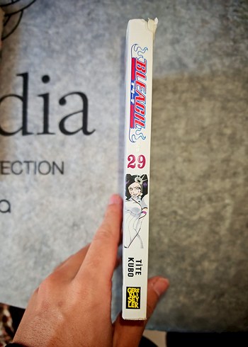 Bleach Cilt 29: Tahripkâr Opera - Görsel 2