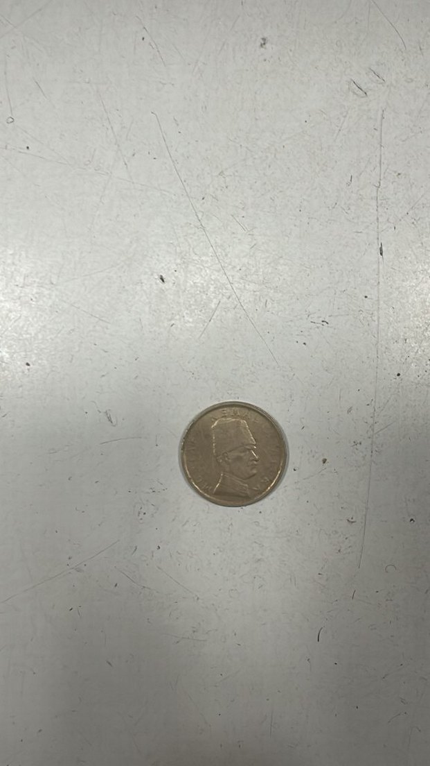 100.000 Lira Hatıra Parası - Görsel 2