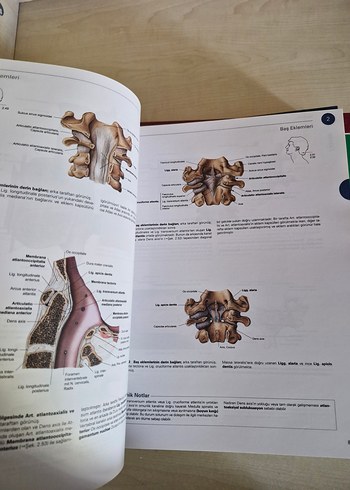 Sobotta İnsan Anatomisi Atlası (3 Cilt Takım +Ek Kitap) - Görsel 11