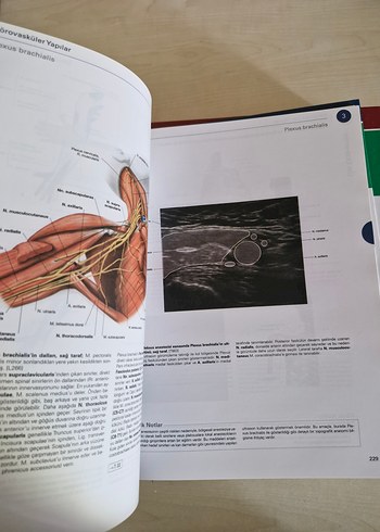 Sobotta İnsan Anatomisi Atlası (3 Cilt Takım +Ek Kitap) - Görsel 10