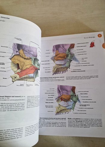 Sobotta İnsan Anatomisi Atlası (3 Cilt Takım +Ek Kitap) - Görsel 8