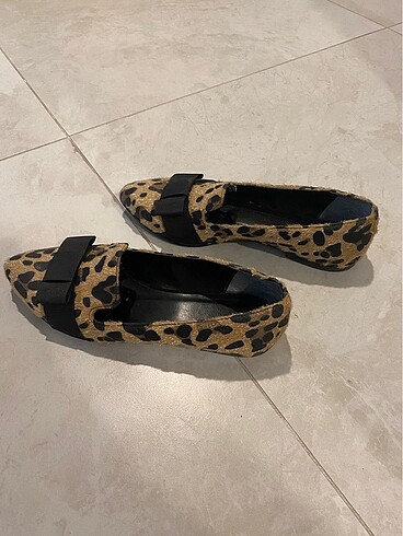 37 Beden Leopar babet