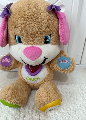 Eğitici köpek