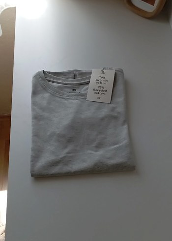 Gri t-shirt