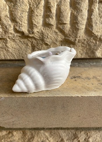 Deniz Kabuklu Beyaz Mumluk - Görsel 3