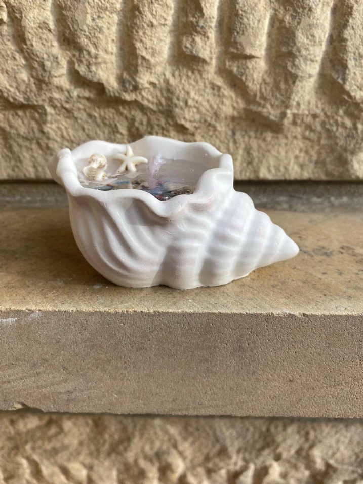 Deniz Kabuklu Beyaz Mumluk - Görsel 4