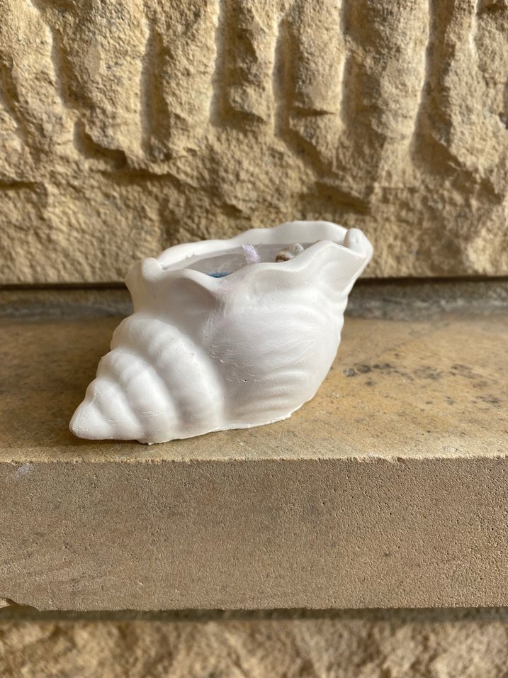 Deniz Kabuklu Beyaz Mumluk - Görsel 3