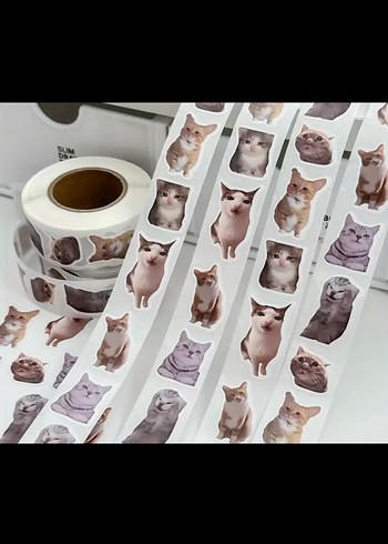 kedi sticker