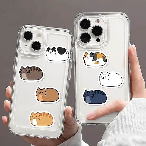  Beden tatlı kedi sticker