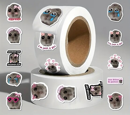 tatlı üzgün kedi sticker