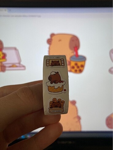 capybara sticker