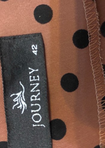 Kahverengi Puantiyeli Kadın gömlek - Görsel 4