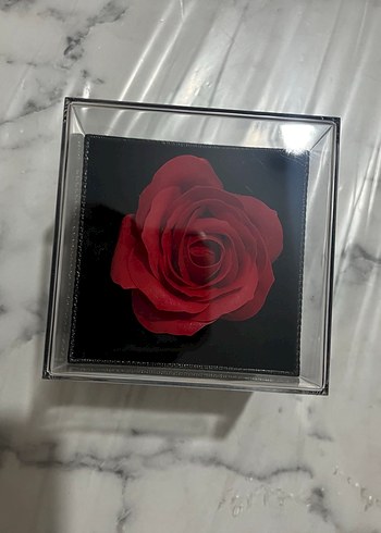 Siyah Takı Kutusu - Görsel 2