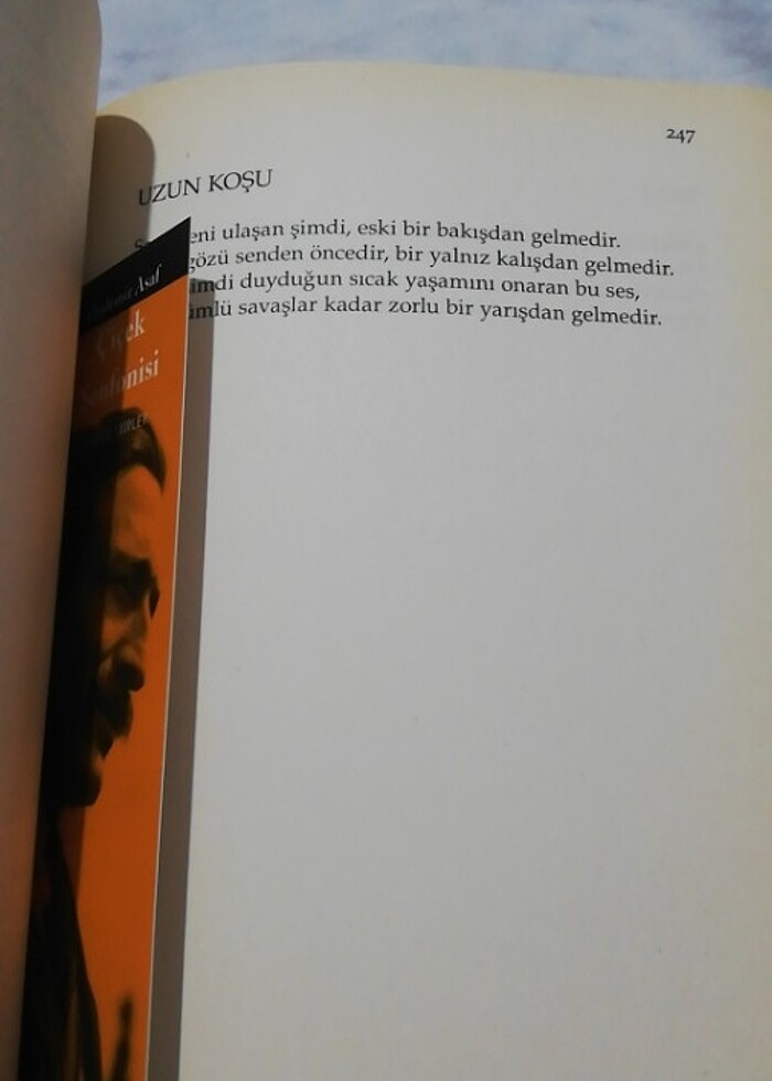 Özdemir Asaf/ çiçek senfonisi - Görsel 2