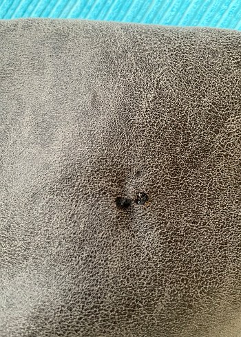 Stradivarius Gri Süet Kısa Kadın Ceket - Görsel 5