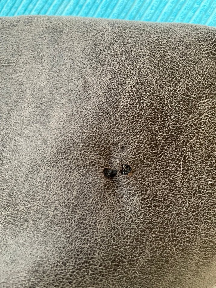 Stradivarius Gri Süet Kısa Kadın Ceket - Görsel 5