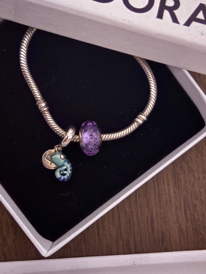 Pandora Bileklik - Görsel 2