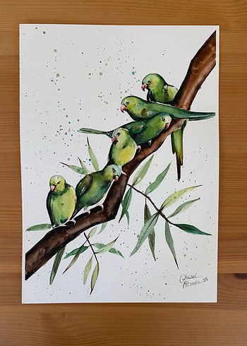 Beden Suluboya çizimi 21*30