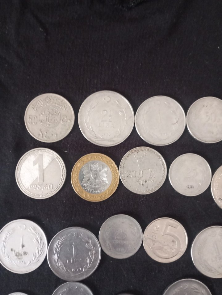 Gri Tonlarında Koleksiyon Para Puzzle - Görsel 2